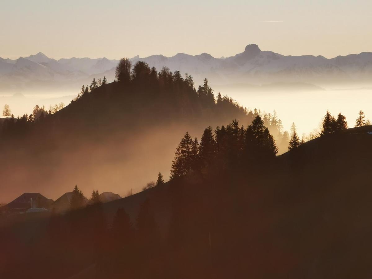 Baernsicht Panorama Hotel Wasen ภายนอก รูปภาพ