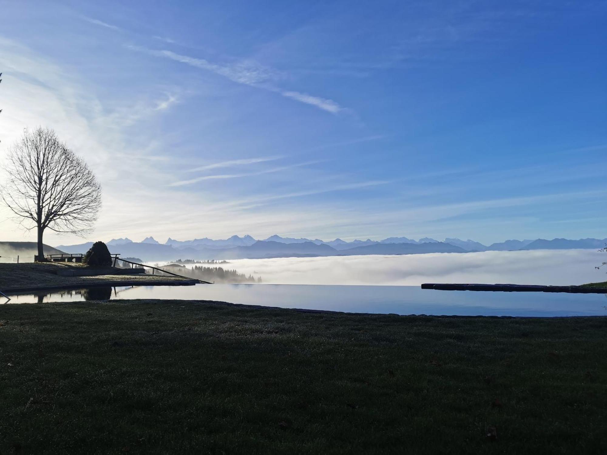 Baernsicht Panorama Hotel Wasen ภายนอก รูปภาพ